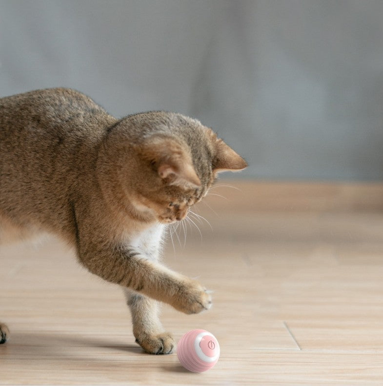 Automatic Moving  Rolling Ball