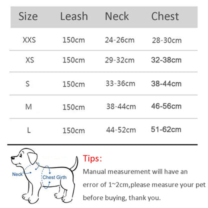 Dog Harness Leash