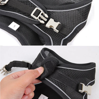 Dog Harness Leash