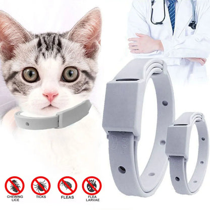 Anti Flea Tick Collar