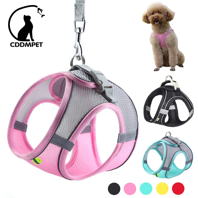 Dog Harness Leash